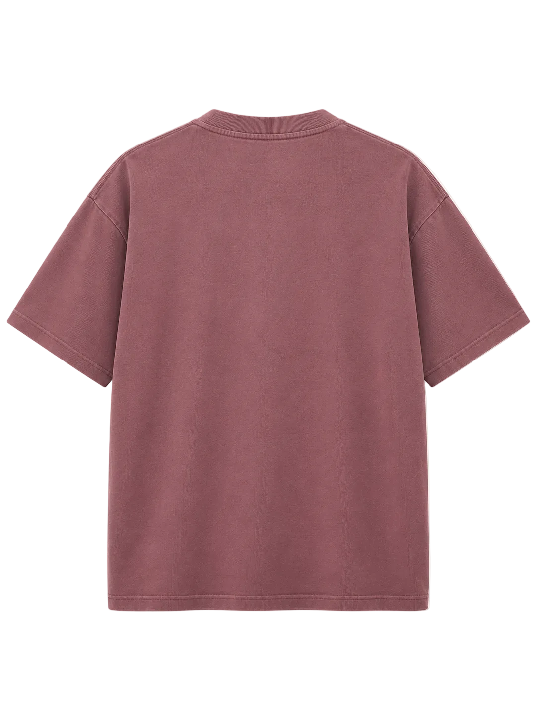 Bonsai T-Shirt Boxy Seasonal Graphic Cacao